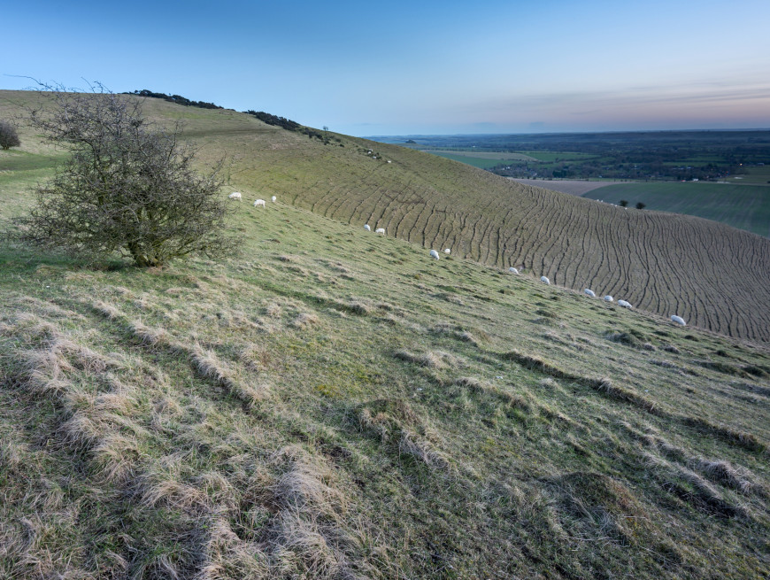 The White Horse Trail - Beechfield House