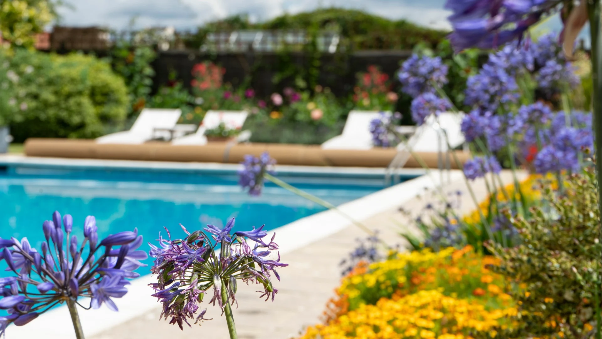 Bed with cushions and lamp