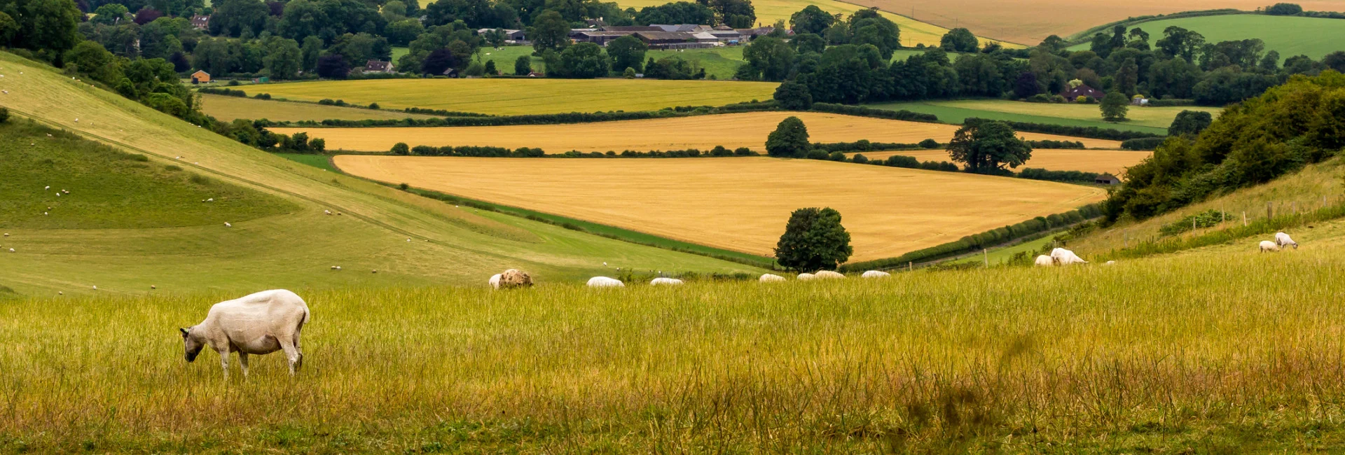 Wiltshire countryside