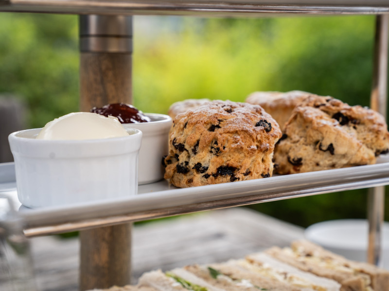 Bar with garden views