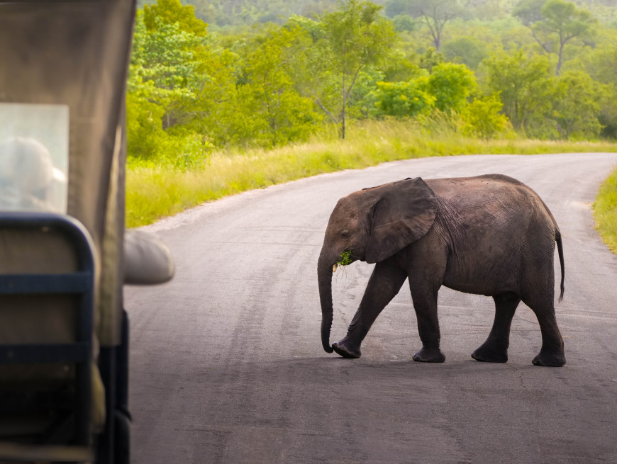 Longleat Safari Park - Beechfield House