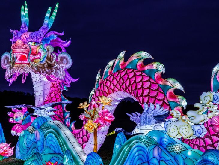 A vibrant illuminated dragon with intricate pink and blue scales, surrounded by glowing flowers and cranes, lights up the night sky during Christmas in Wiltshire.