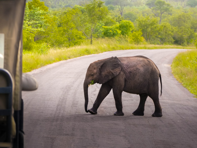 Longleat Safari Park - Beechfield House