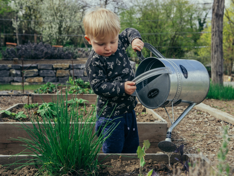 Bar with garden views