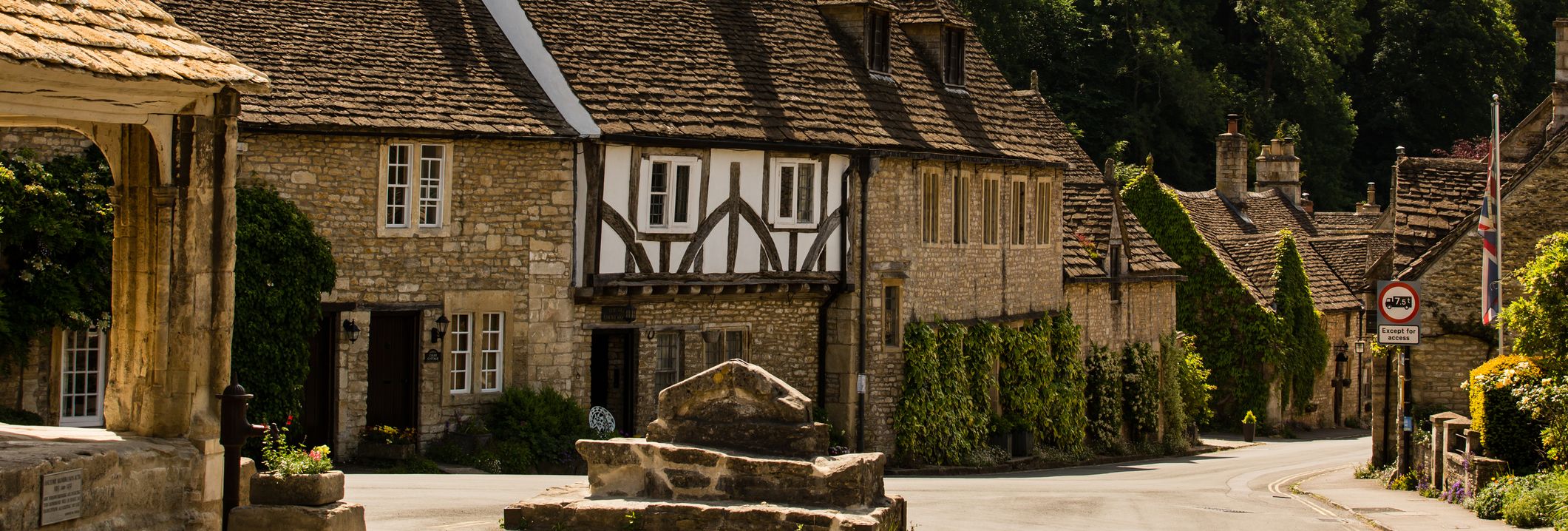 A quaint village street with stone cottages featuring timber frames and ivy-covered walls, nestled against a backdrop of dense green trees under a partly cloudy sky.