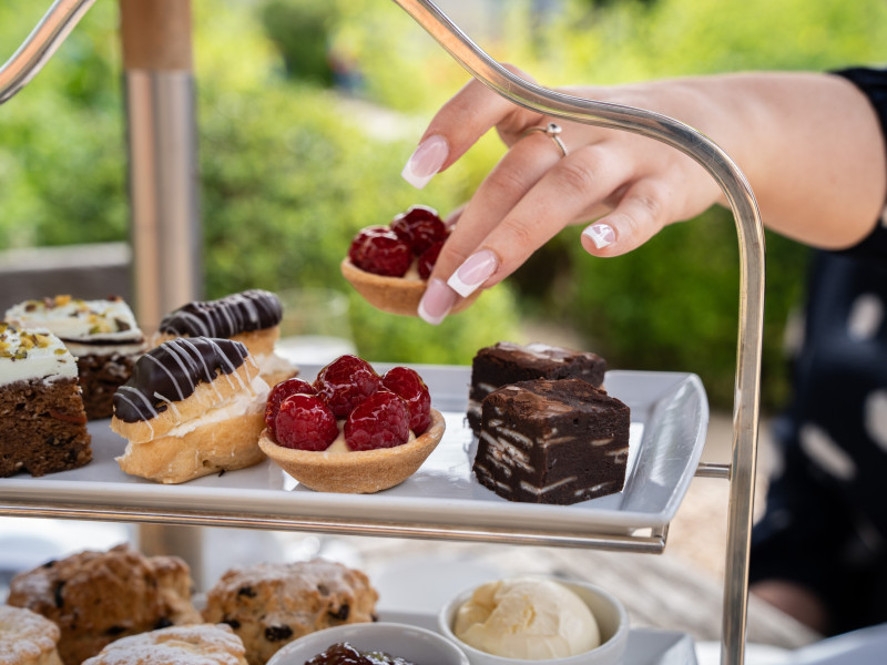 Bar with garden views