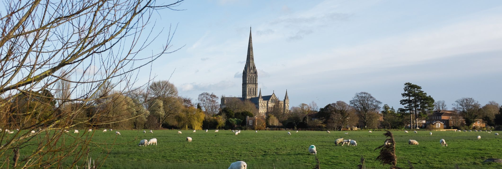 A green field with grazing sheep is shown in the foreground, with the tall spire of Salisbury Cathedral rising in the background against a blue sky and scattered clouds.