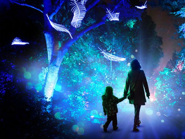 A mother and child walk hand in hand under glowing trees adorned with luminous feathers in a magical nighttime display, evoking Christmas in Wiltshire.